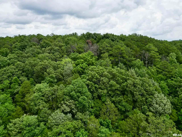 $205,000 | 0 Stoneface Road, Harrisburg, IL 62946