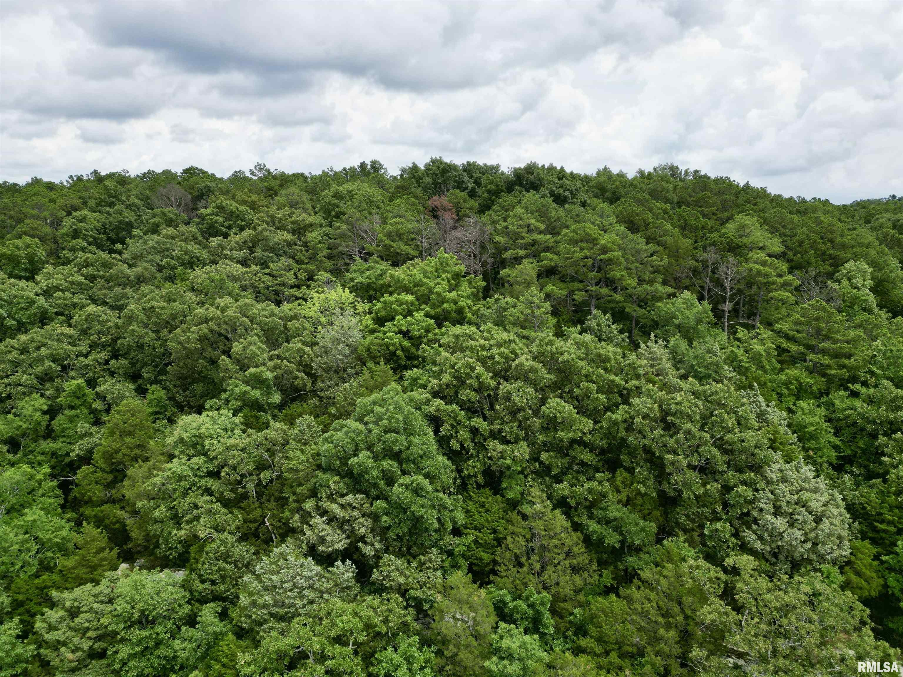 0 Stoneface Road Harrisburg, IL 62946 - Photo 6 of 13