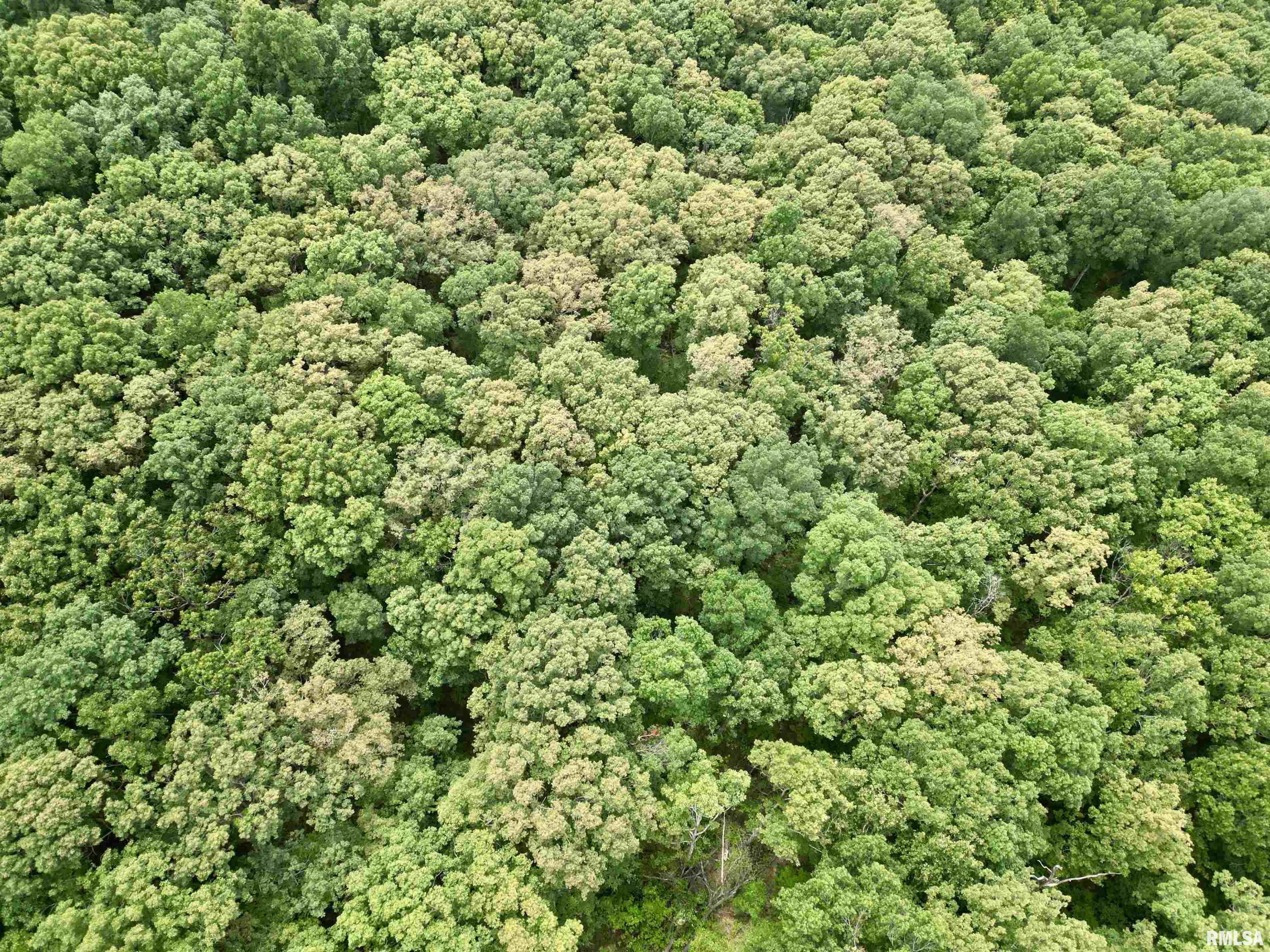 0 Stoneface Road Harrisburg, IL 62946 - Photo 7 of 13