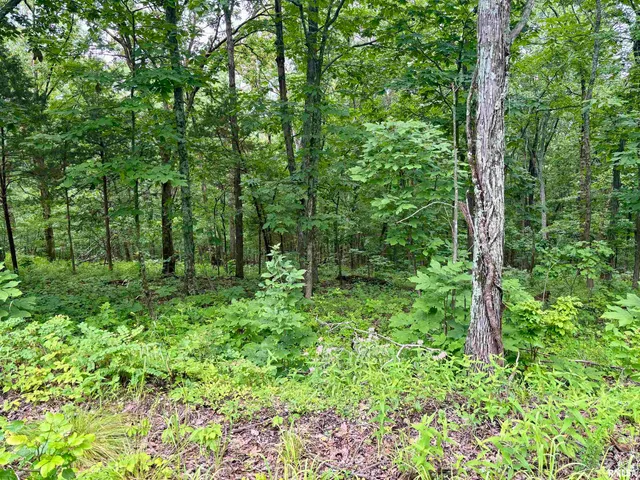 $205,000 | 0 Stoneface Road, Harrisburg, IL 62946