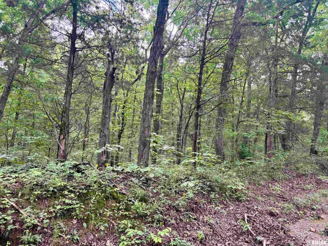 $205,000 | 0 Stoneface Road, Harrisburg, IL 62946