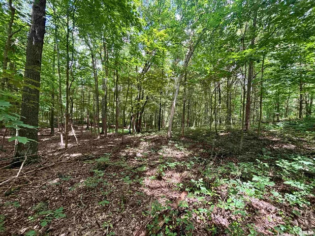 $205,000 | 0 Stoneface Road, Harrisburg, IL 62946