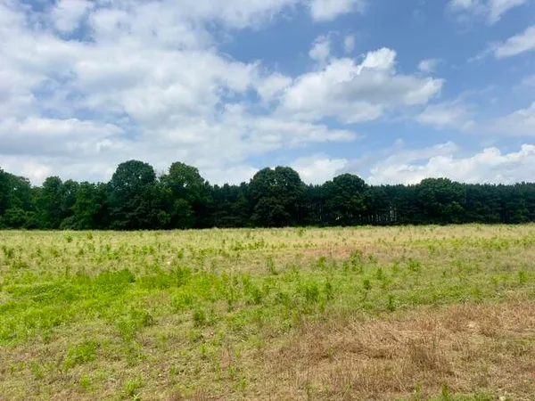 $126,000 | 0 Seymour Road, Unit PARCEL D, Grass Lake, MI 49240