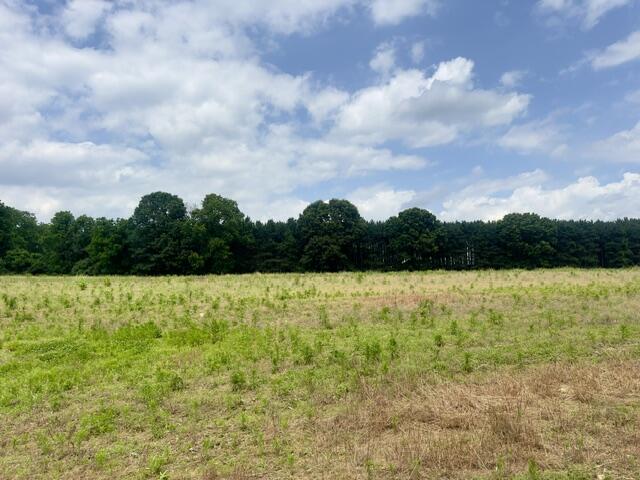 0 Seymour Road, Unit PARCEL D Grass Lake, MI 49240 - Photo 1 of 14 Main Photo