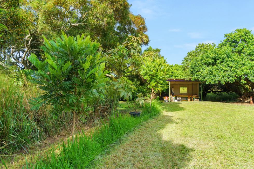 55-442 Hoea Road Hawi, HI 96719 - Photo 14 of 24