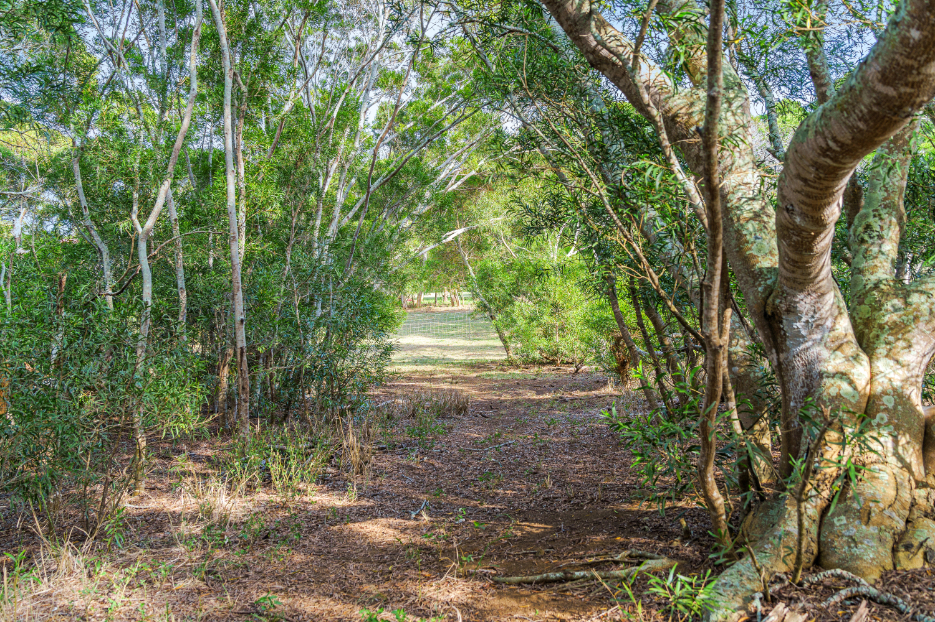 55-442 Hoea Road Hawi, HI 96719 - Photo 18 of 24