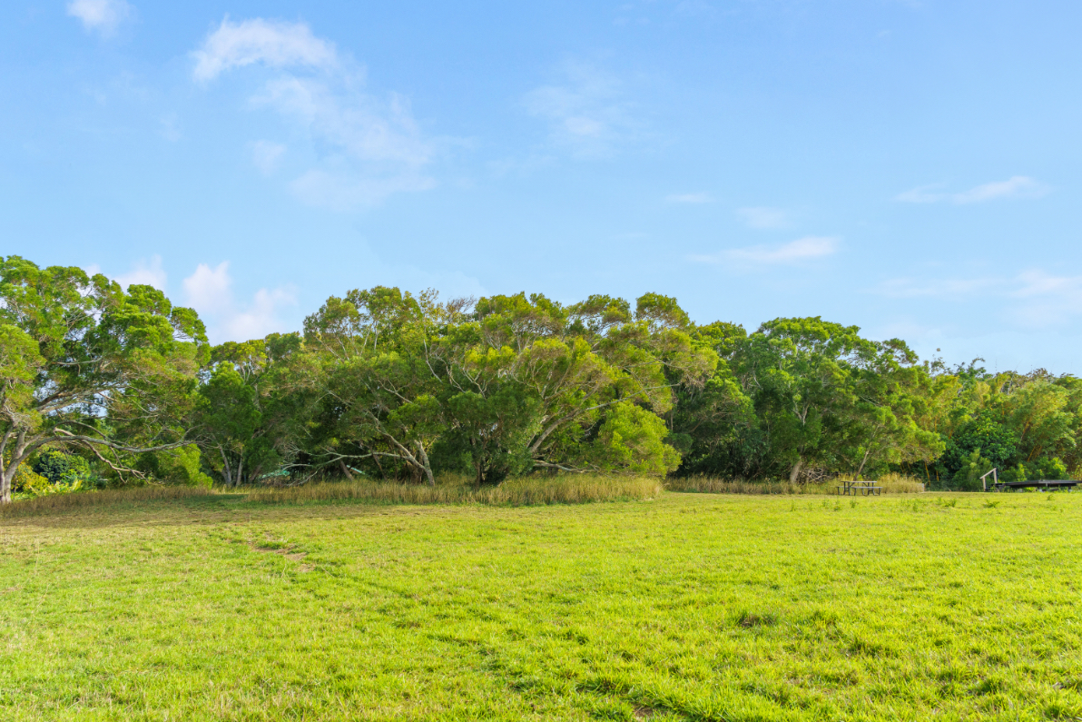 55-442 Hoea Road Hawi, HI 96719 - Photo 21 of 24
