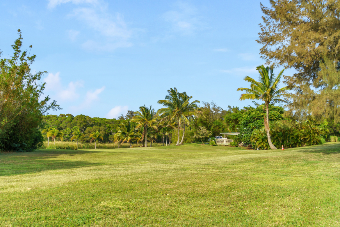 55-442 Hoea Road Hawi, HI 96719 - Photo 23 of 24