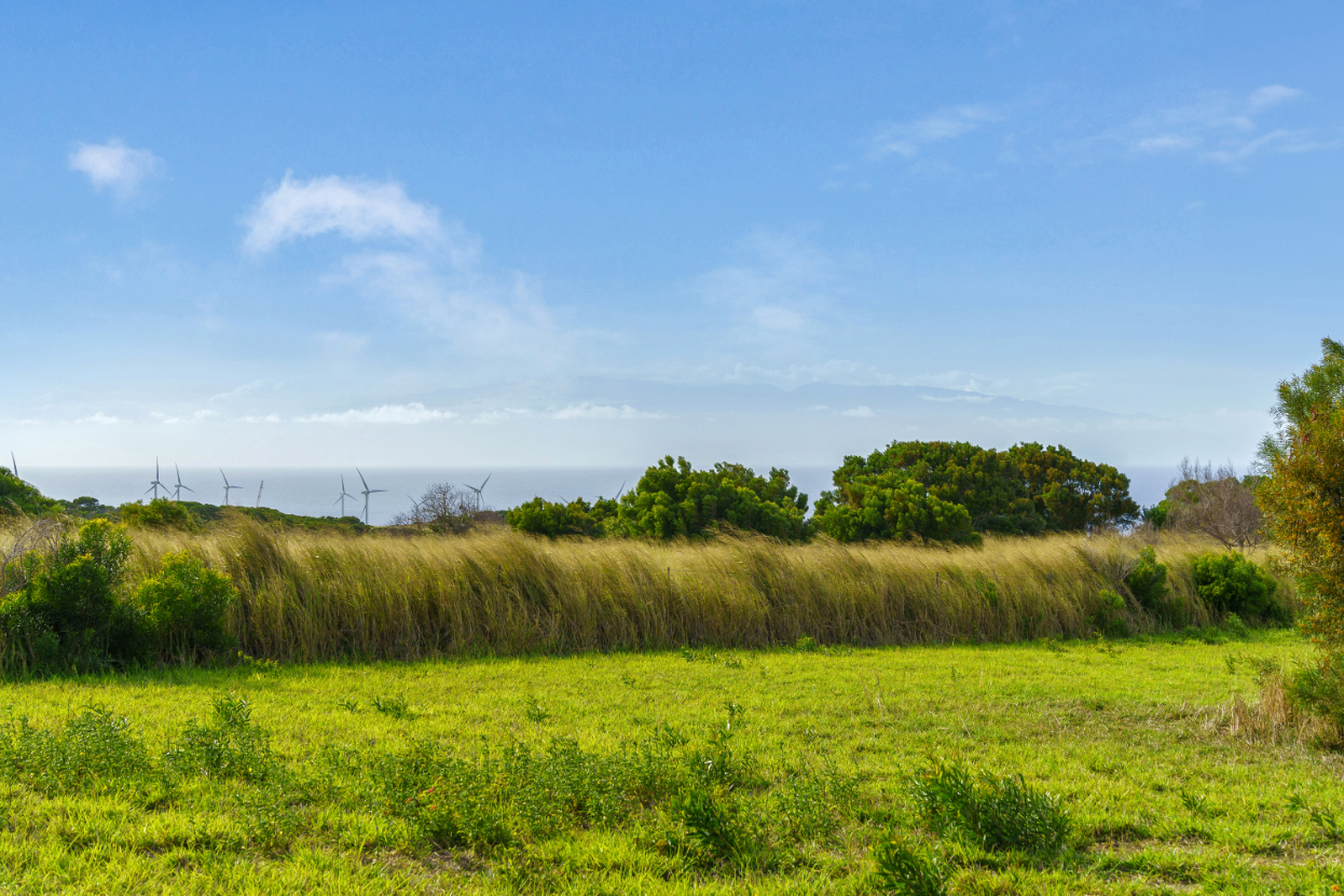 55-442 Hoea Road Hawi, HI 96719 - Photo 3 of 24