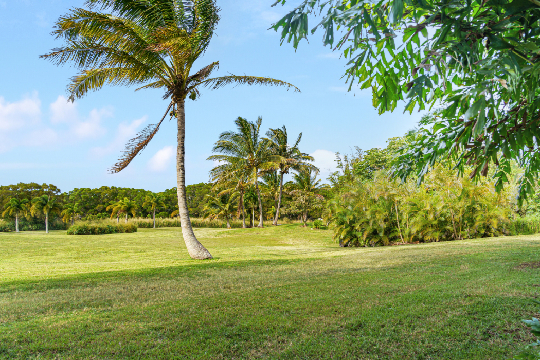 55-442 Hoea Road Hawi, HI 96719 - Photo 10 of 24