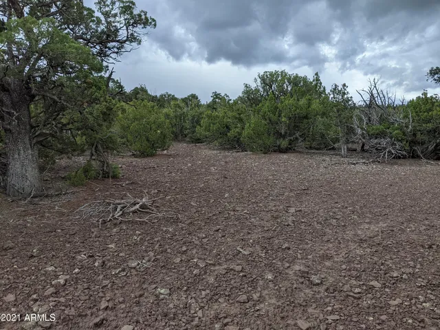 a view of an outdoor space and a yard