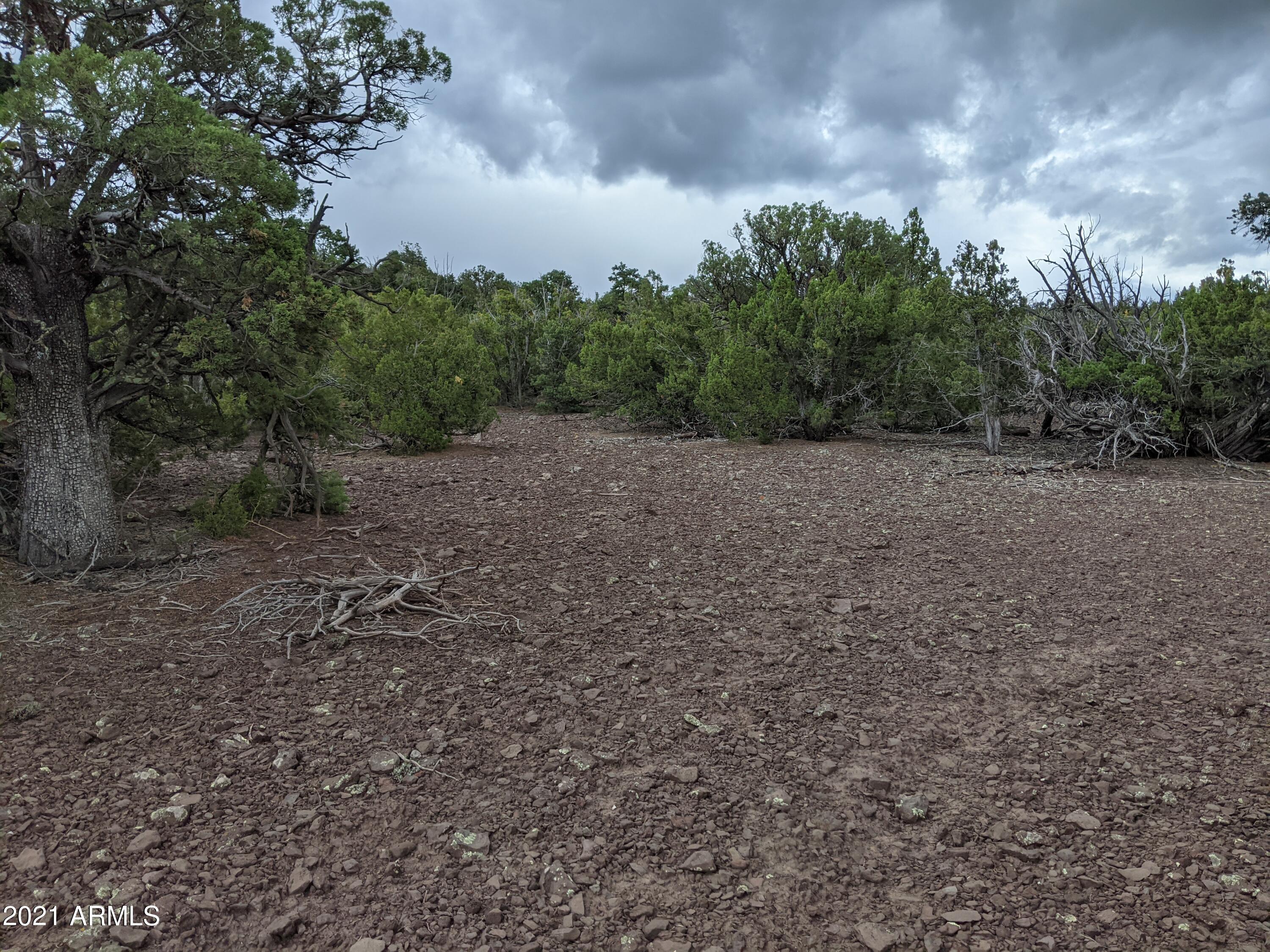 Lot 79 Ranch Road, Unit 79 Concho, AZ 85924 - Photo 2 of 9 a view of an outdoor space and a yard