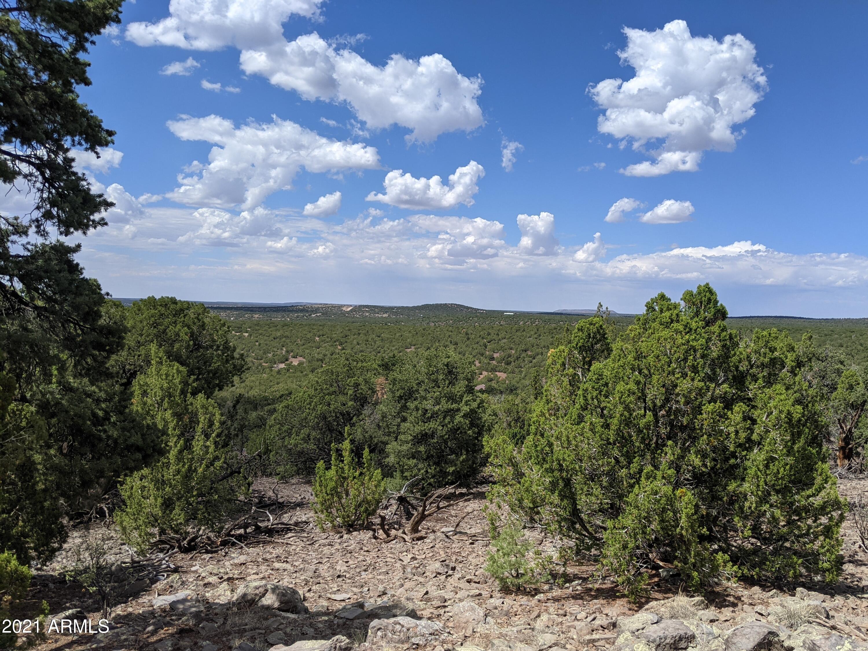 Lot 79 Ranch Road, Unit 79 Concho, AZ 85924 - Photo 4 of 9 a view of a bunch of trees