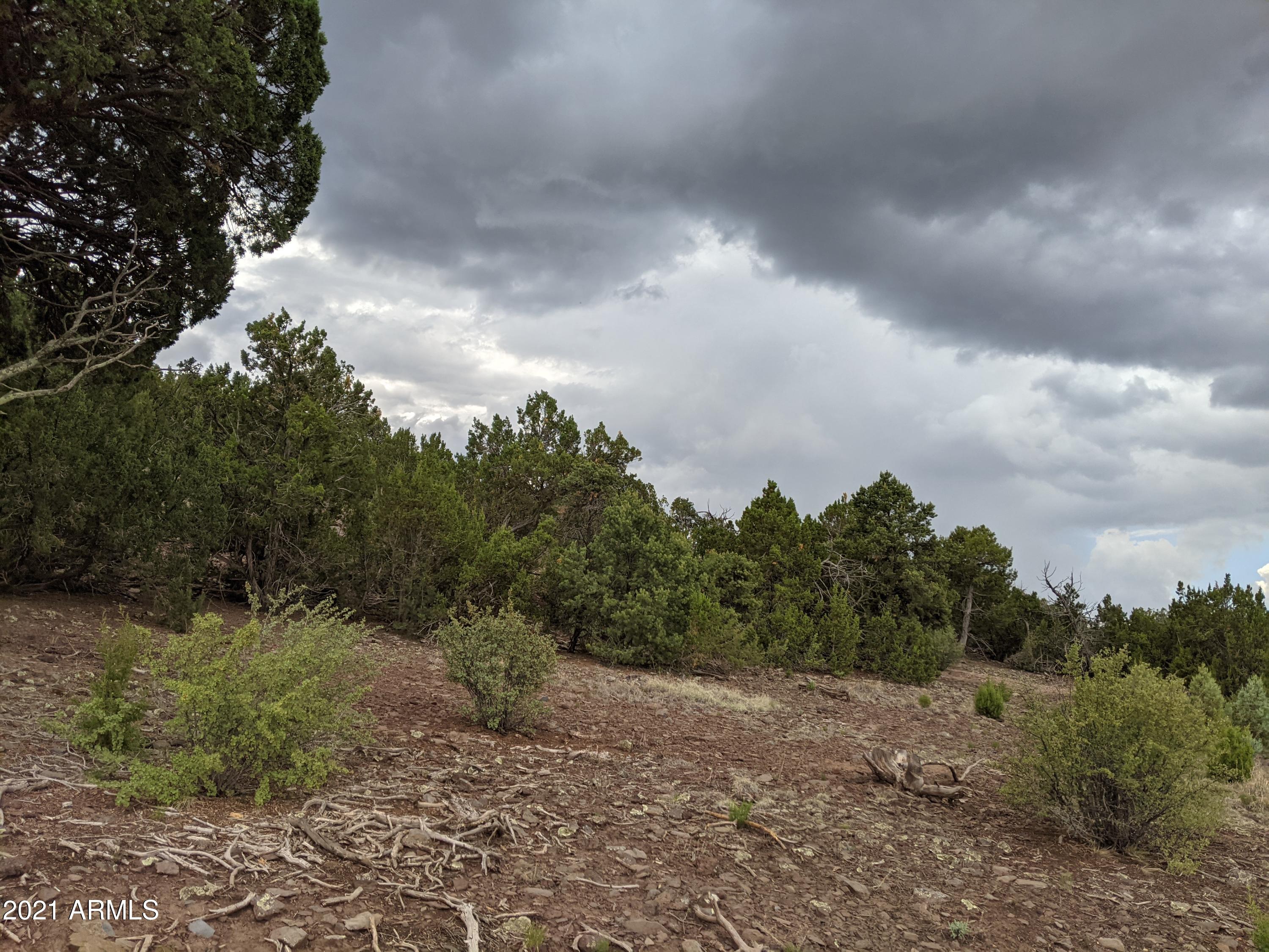 Lot 79 Ranch Road, Unit 79 Concho, AZ 85924 - Photo 5 of 9 a view of a pathway with a yard