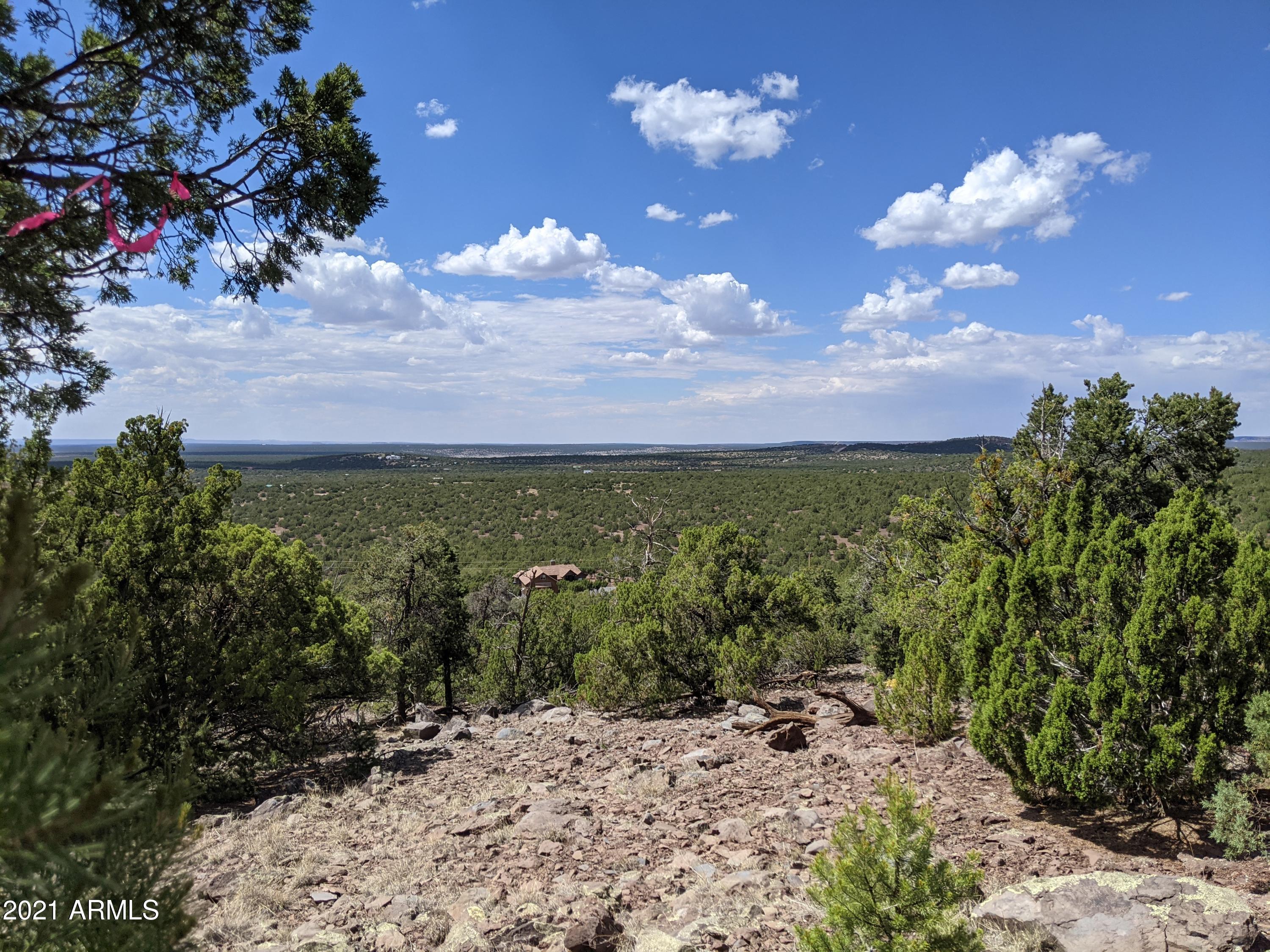 Lot 79 Ranch Road, Unit 79 Concho, AZ 85924 - Photo 7 of 9