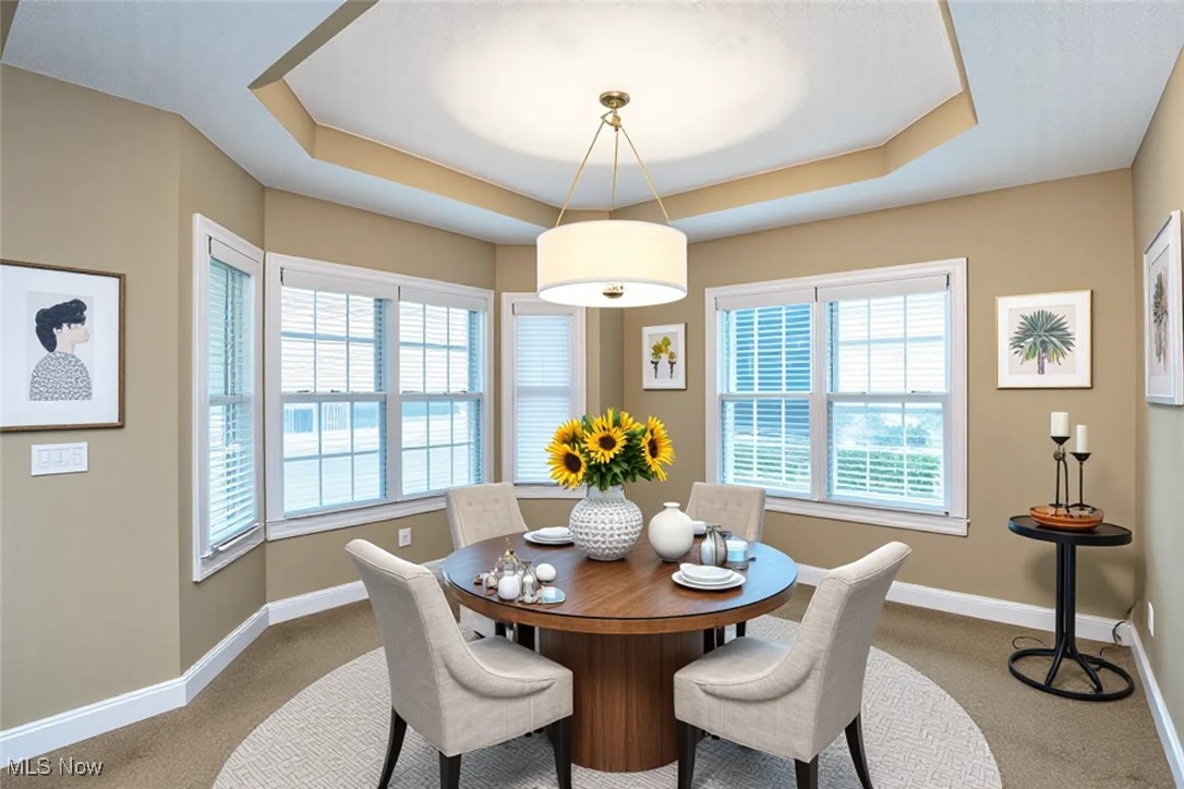 630 Rundle Street Lagrange, OH 44050 - Photo 7 of 49 Dining room featuring a raised ceiling and carpet floors