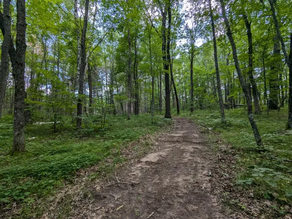 $26,900 | Lot 2 Fosmo, Webster, WI 54893