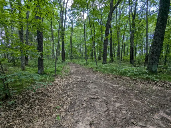 $26,900 | Lot 2 Fosmo, Webster, WI 54893