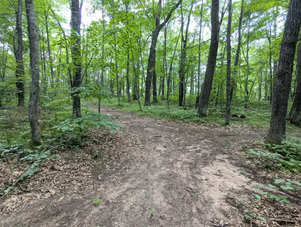 $26,900 | Lot 2 Fosmo, Webster, WI 54893