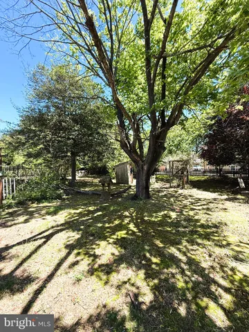 a view of a yard with plants