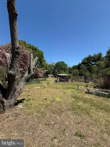 a view of yard with large trees