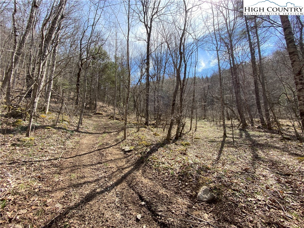 Lower Rush Branch Road Sugar Grove, NC 28679 - Photo 7 of 7 Gallery Image 7