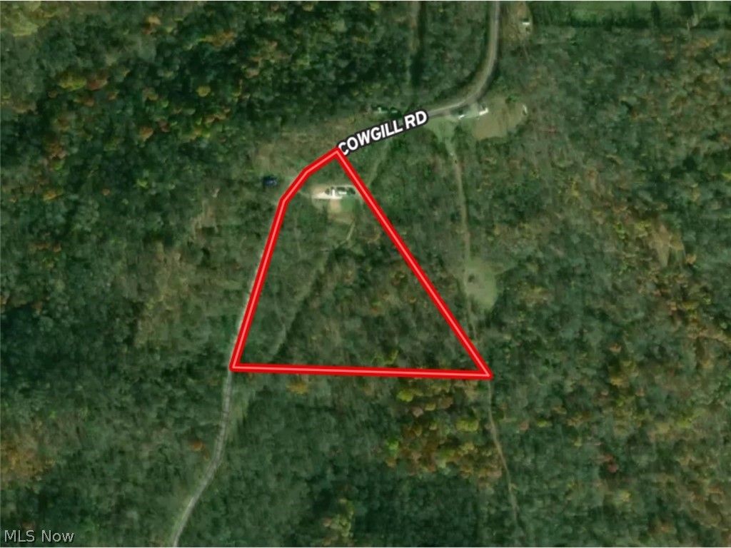 49250 Cowgill Road Summerfield, OH 43788 - Photo 44 of 44