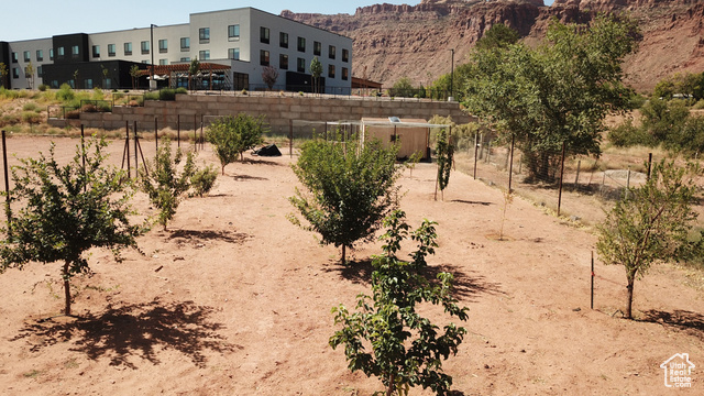 1235 Knutson Korner Moab, UT 84532 - Photo 10 of 15