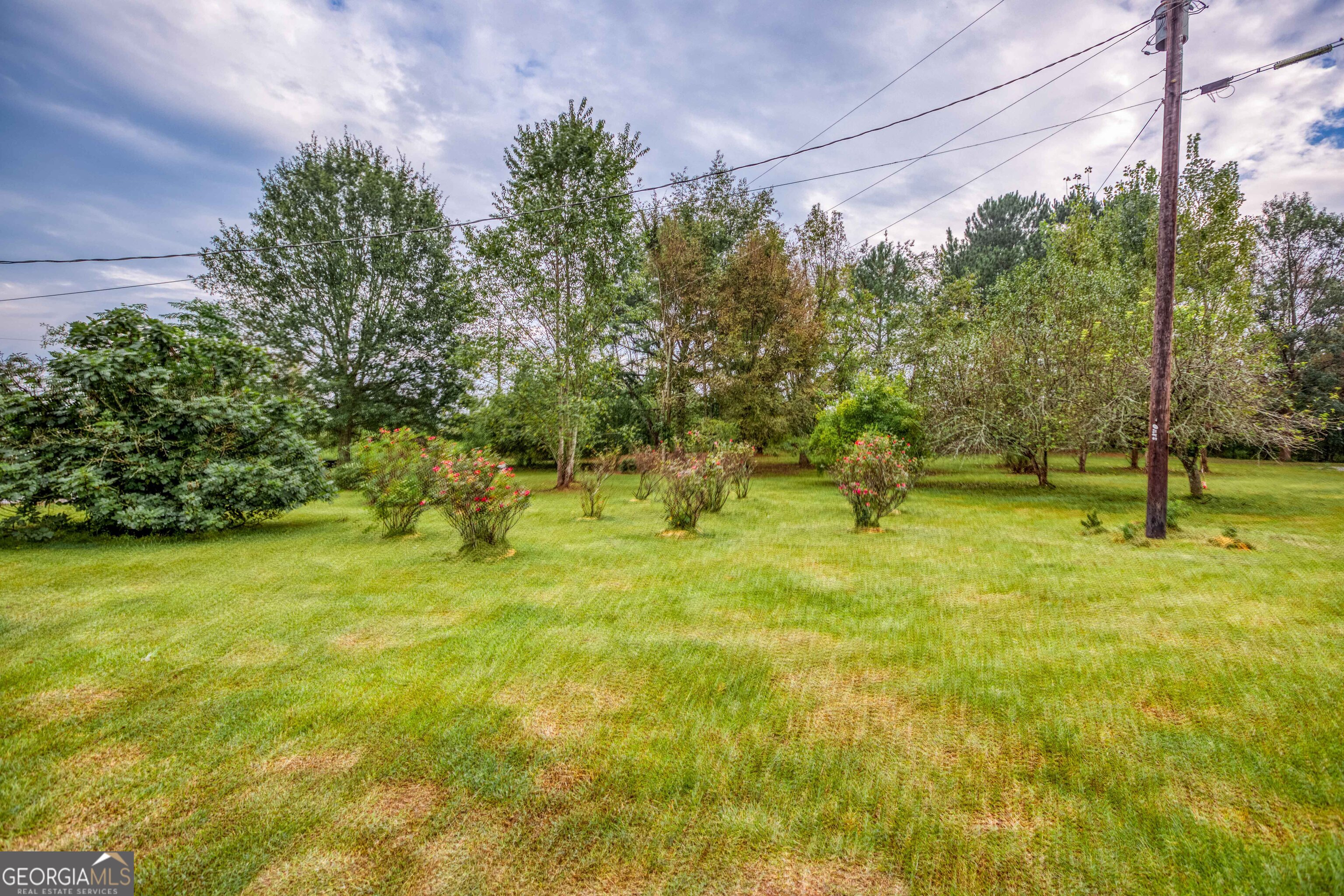 2141 Greensboro Road Madison, GA 30650 - Photo 18 of 35 a view of yard with green space