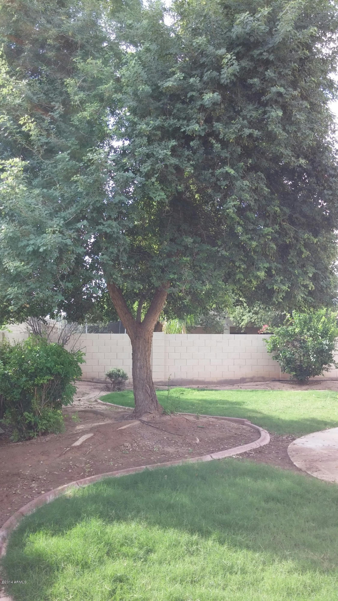 3571 East Hopkins Road Gilbert, AZ 85295 - Photo 9 of 22 Backyard