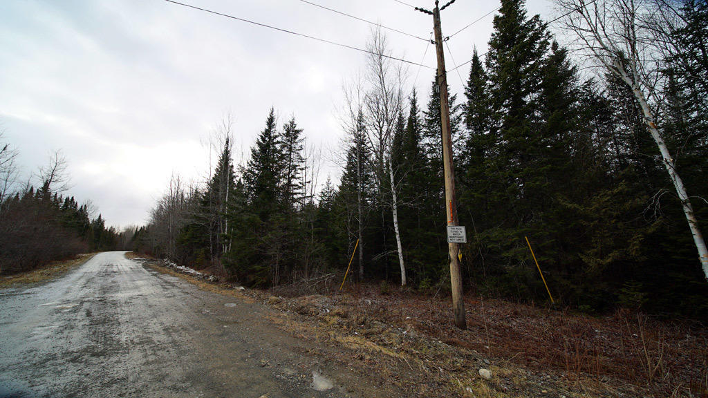 Lot 33-1 Smith Road Orient, ME 04471 - Photo 19 of 21 smith-haney-rd-photo-5