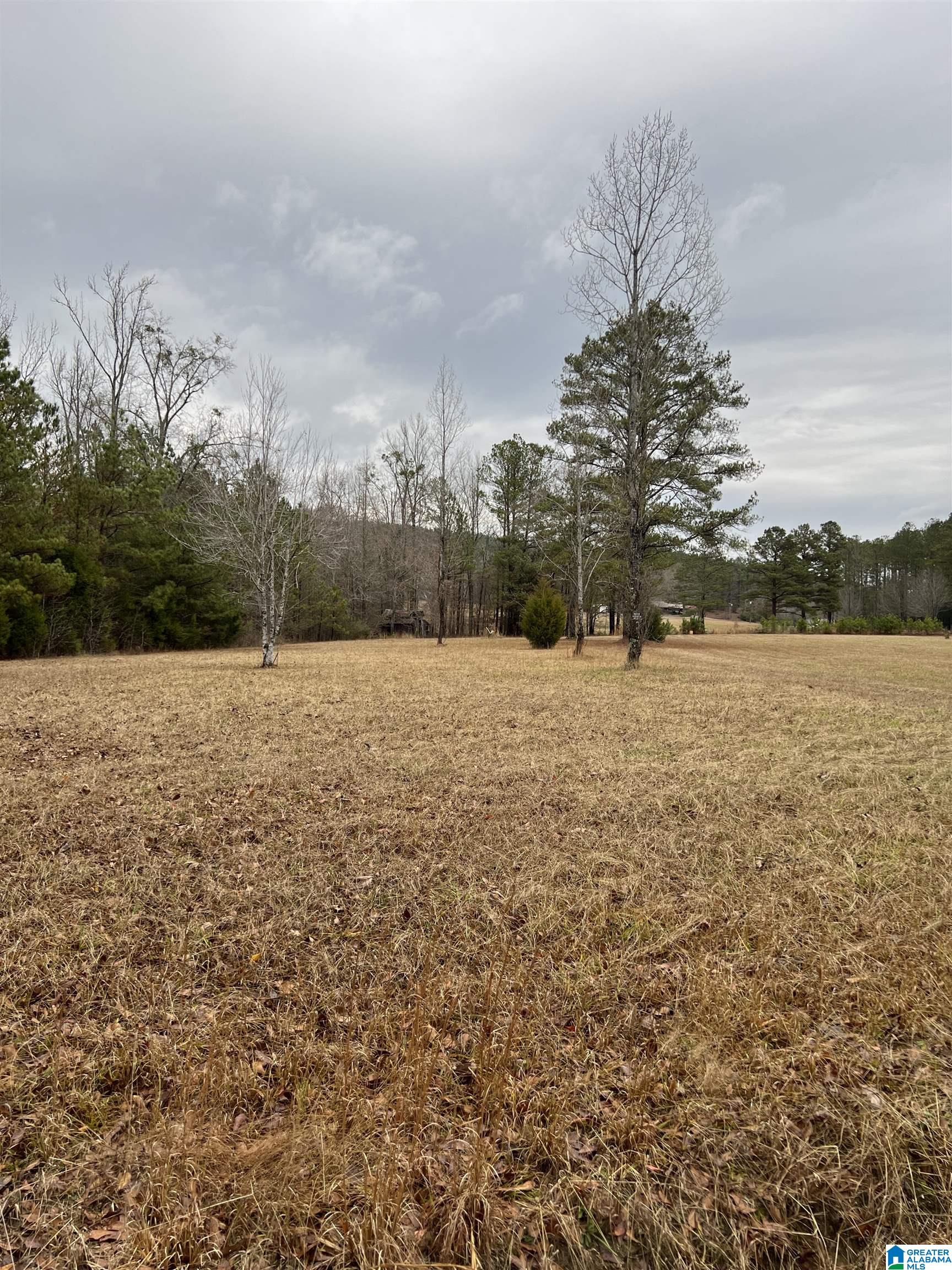 245 Forest Bend Road Piedmont, AL 36272 - Photo 2 of 4