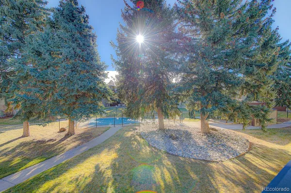 a view of a yard with plants and trees