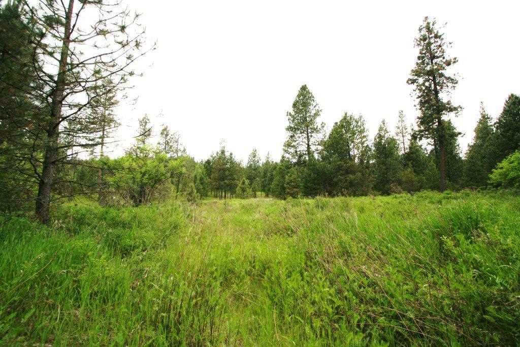 8217 South Vicari (approx) Road Spokane, WA 99206 - Photo 6 of 20 Gallery Image 6