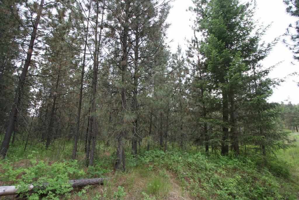 8217 South Vicari (approx) Road Spokane, WA 99206 - Photo 7 of 20 Gallery Image 7