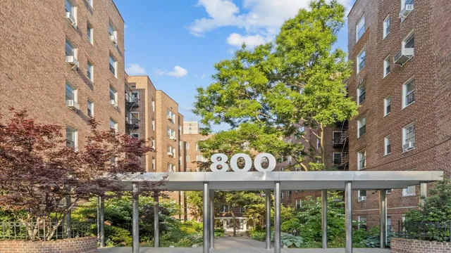 a view of a garden with plants
