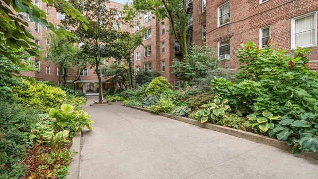 a view of a garden with plants