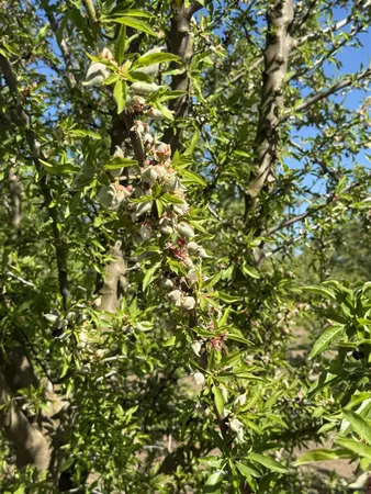 a view of a tree