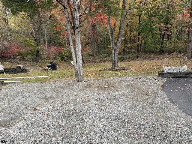 a view of a yard with a tree