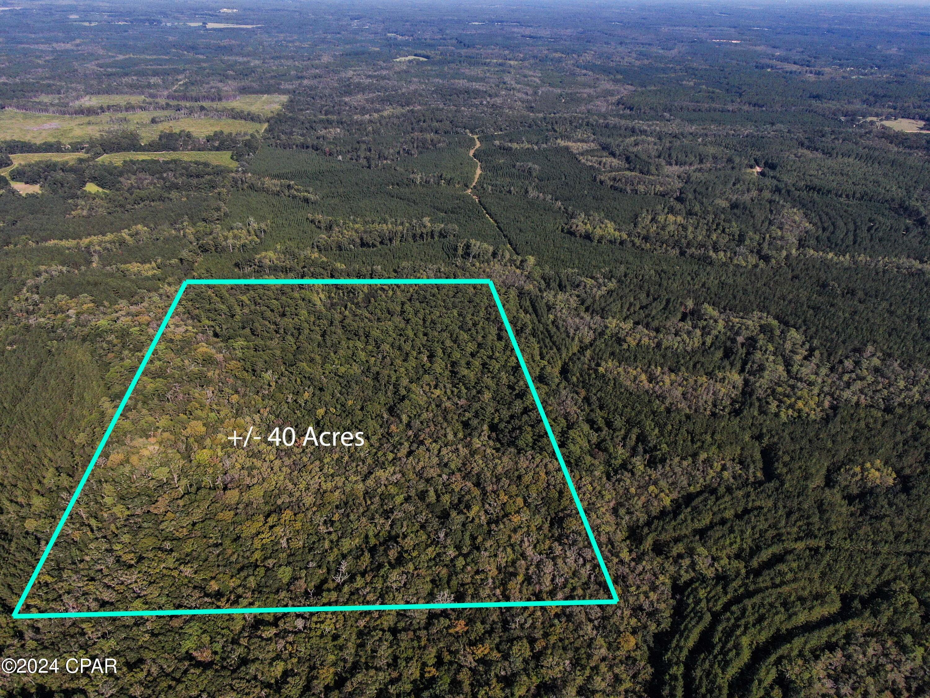 0 Clemmons Road Bonifay, FL 32425 - Photo 2 of 5