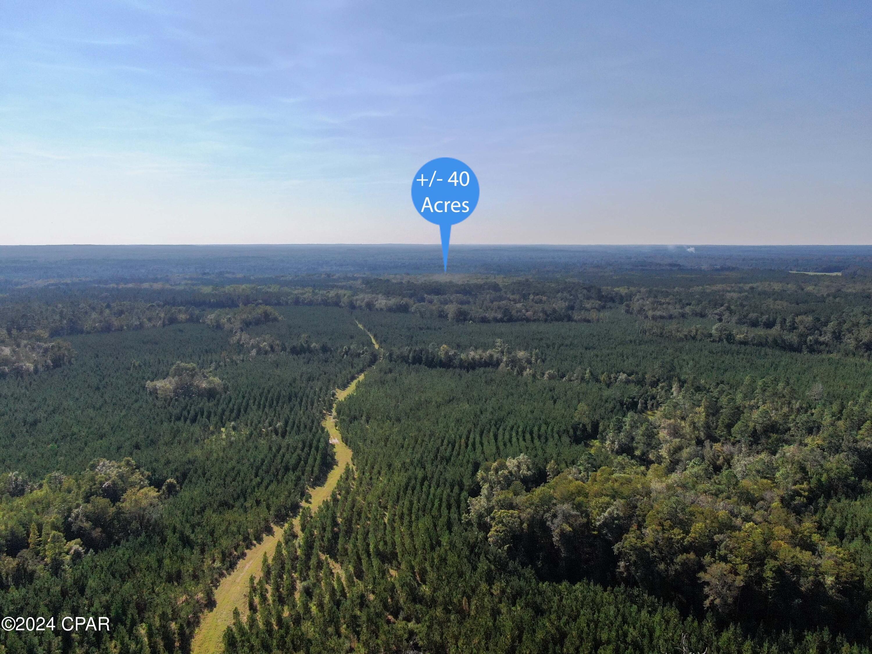 0 Clemmons Road Bonifay, FL 32425 - Photo 4 of 5