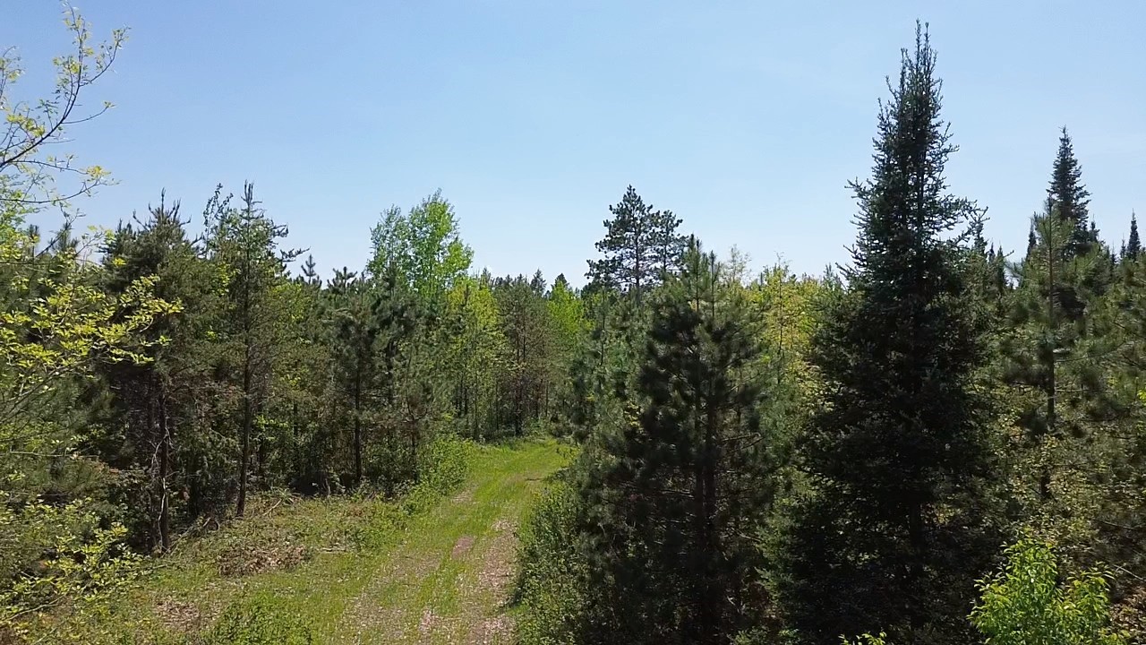 349 X 5th Avenue Shell Lake, WI 54871 - Photo 33 of 37