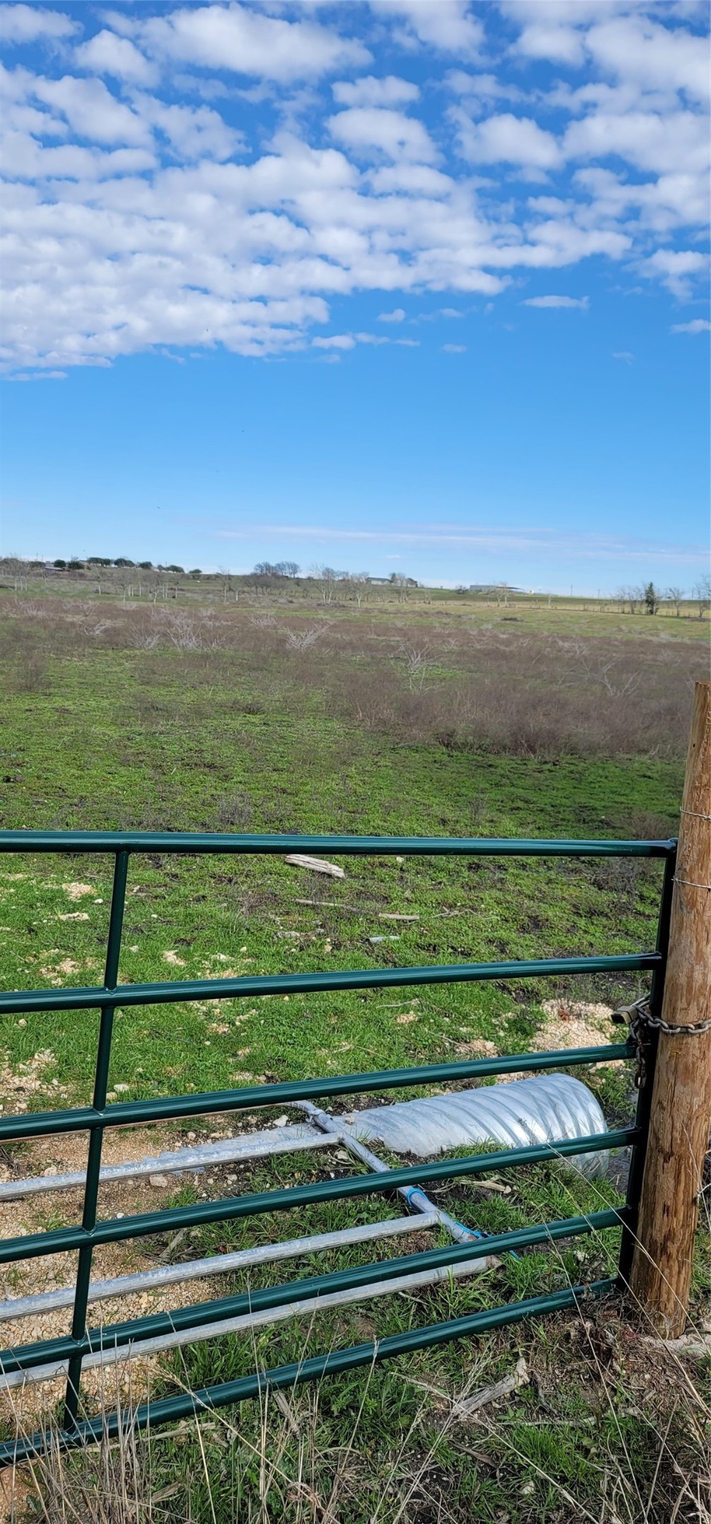 2142 Helm Road Burton, TX 77835 - Photo 5 of 7 a view of a green field with an ocean view