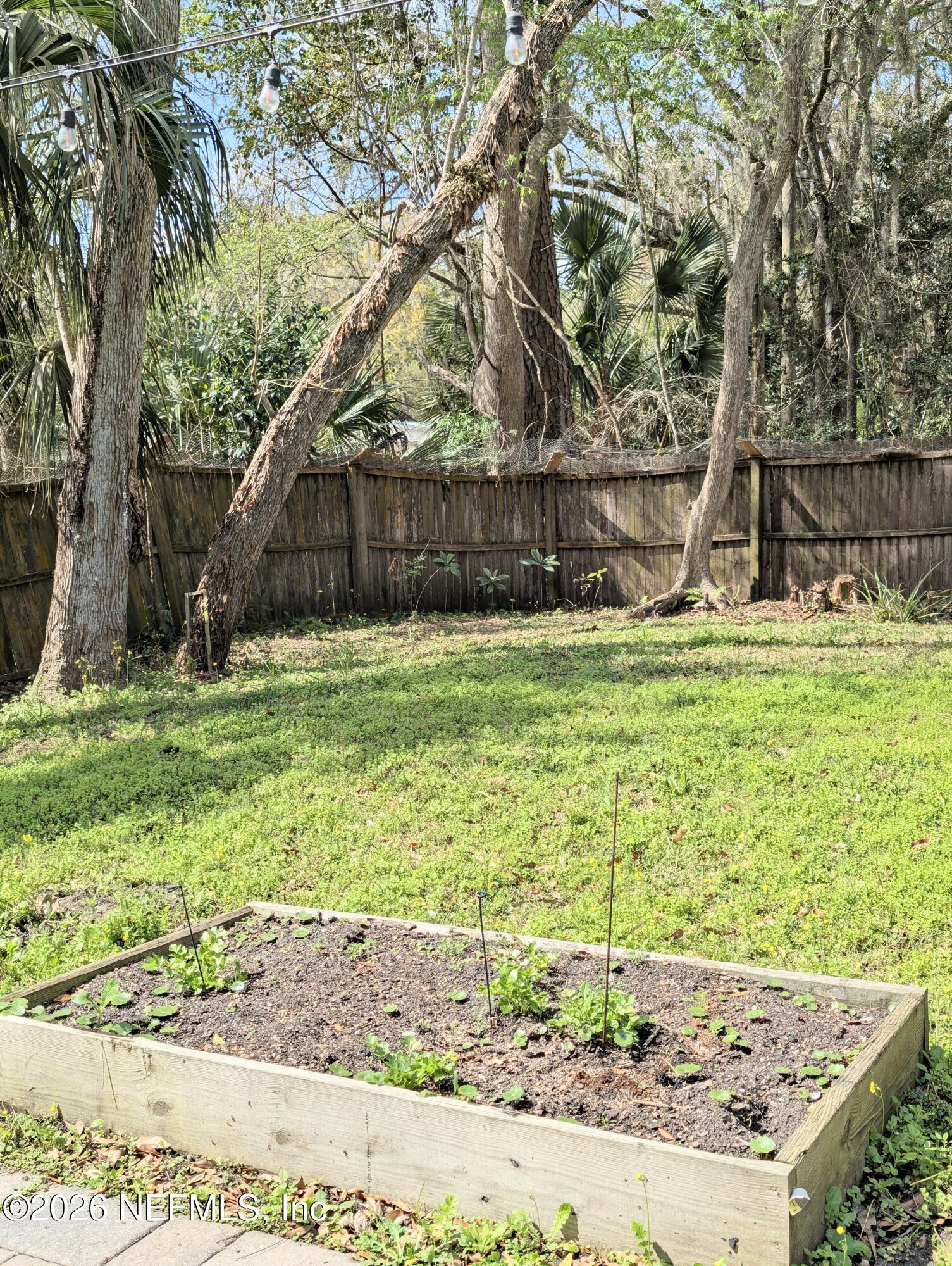 7 Arthur Street St. Augustine, FL 32084 - Photo 26 of 30 a view of a backyard with large trees