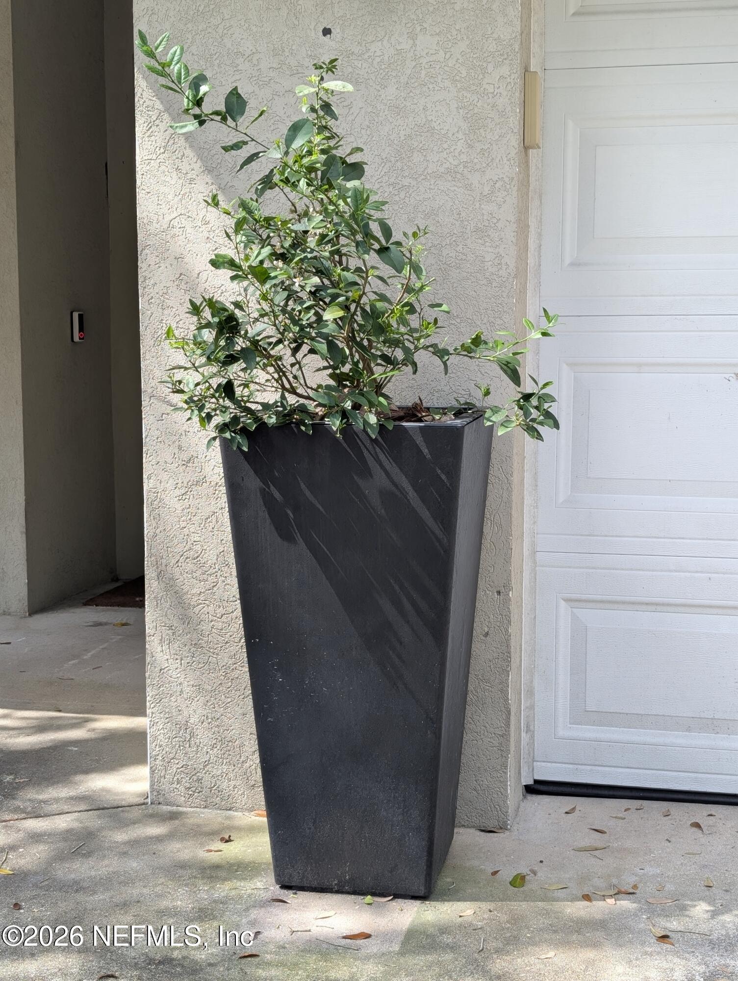 7 Arthur Street St. Augustine, FL 32084 - Photo 30 of 30 a flower pot with a plant