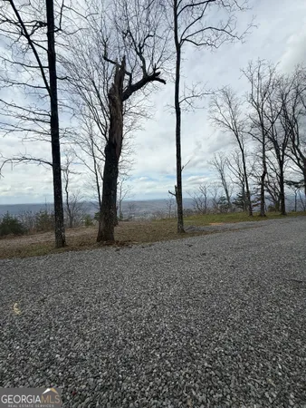 $350,000 | Lot 16 Scenic Highway, Rising Fawn, GA 30738