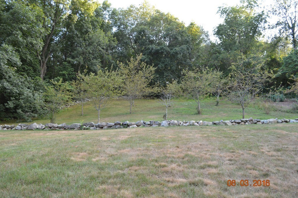 45 Farm Hill Road Wrentham, MA 02093 - Photo 6 of 29