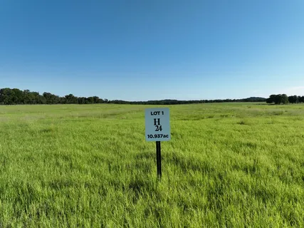 a view of a field with an ocean
