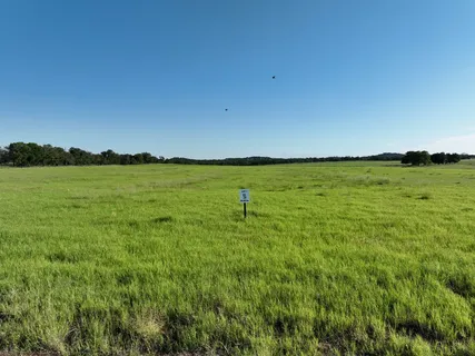 a view of a field with an ocean
