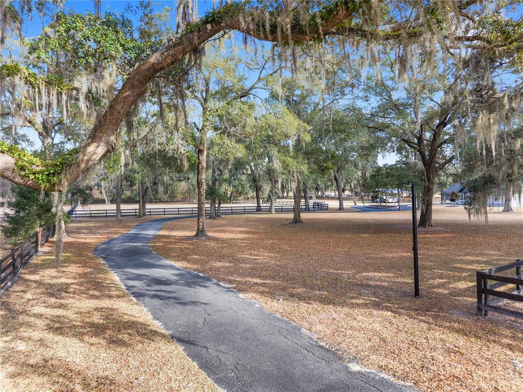 12 Carry Back Road Ocala, FL 34482 - Photo 74 of 88